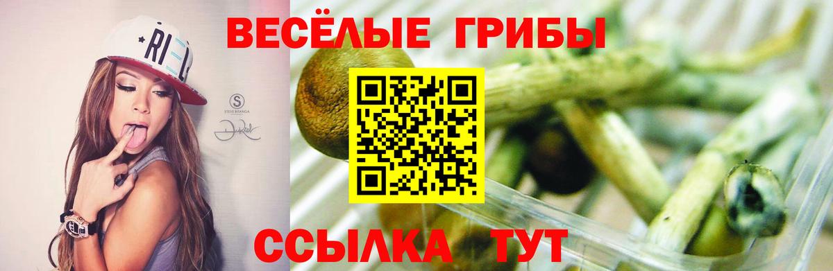Галлюциногенные грибы MAGIC MUSHROOMS  купить  сайты  Нижневартовск  Вход с VPN 